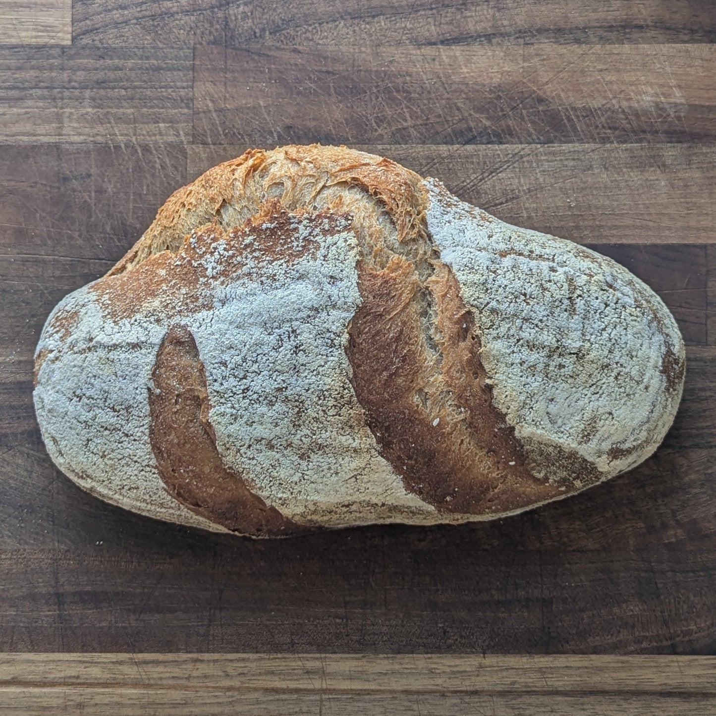 Bungled Bread - Original Sourdough 22oz