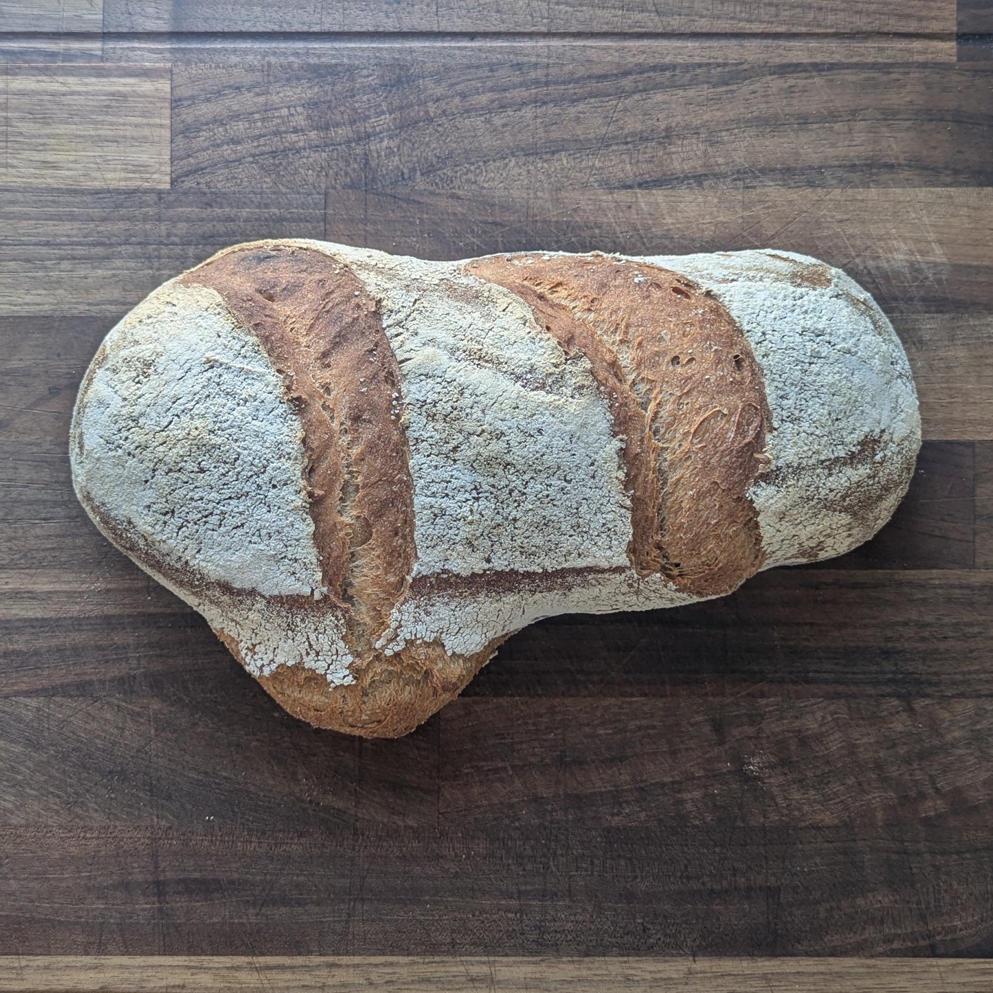 Bungled Bread - Original Sourdough 22oz