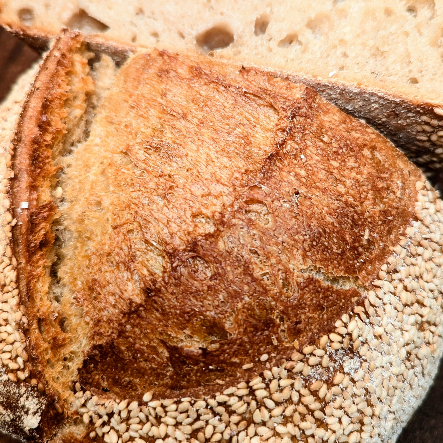 Sesame Crusted Sourdough