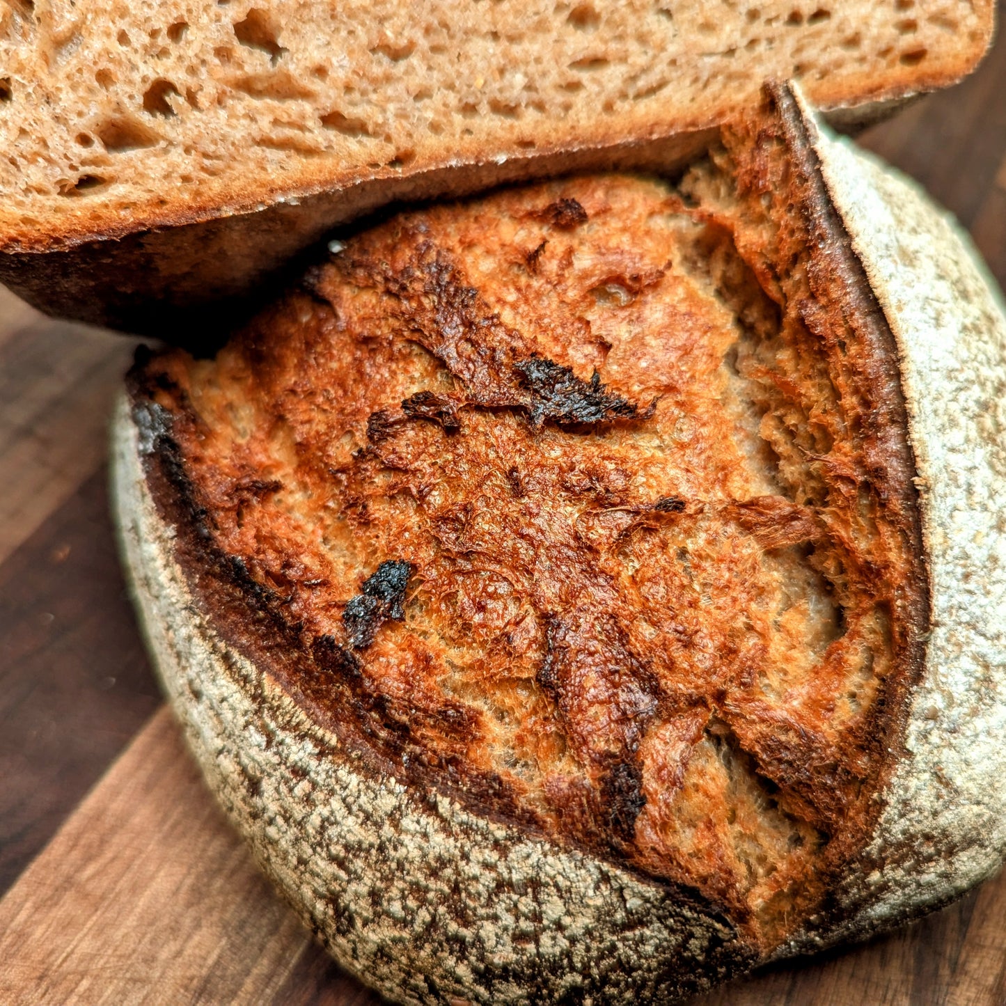 100% Whole Wheat Sourdough