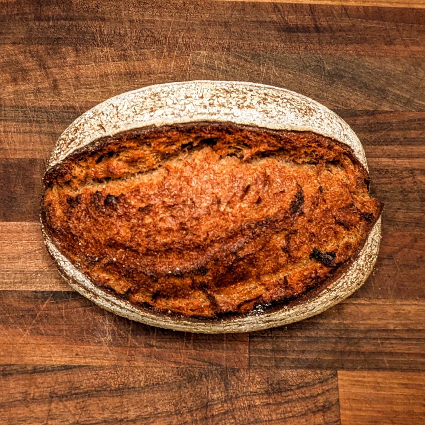 100% Whole Wheat Sourdough